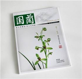 國(guó)蘭雜志總第45期02.JPG