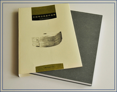 全國(guó)書(shū)法名家作品集 我襟懷古