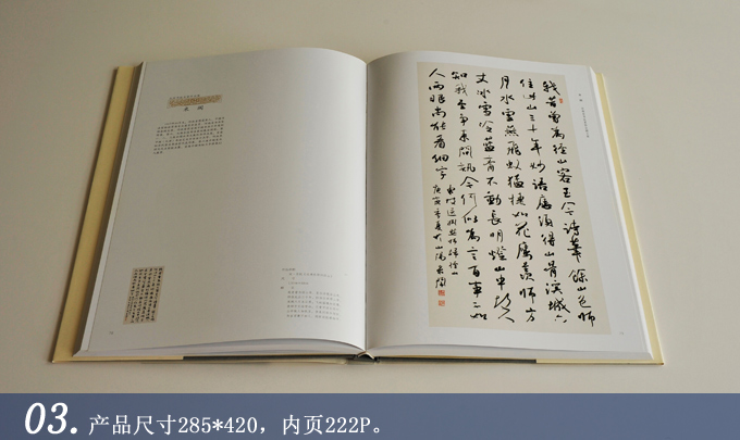 全國(guó)書(shū)法名家作品集