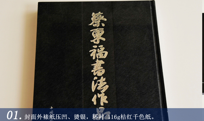 蔡東福書法作品集